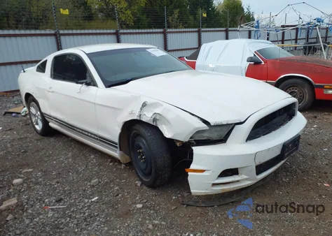 2013 Ford Mustang V6 z USA, uszkodzony, nr VIN 1ZVBP8AM1D5274852